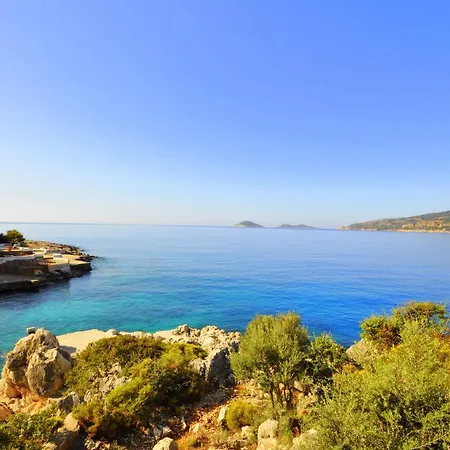 Tera Mare